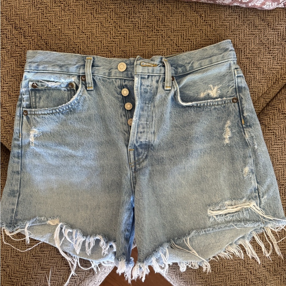 Agolde Parker LONG Shorts